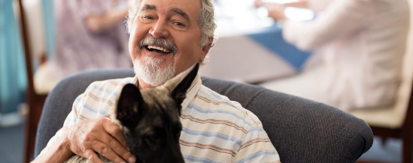 pet friendly assisted living