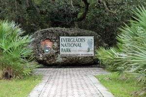 Everglades National Park_Summer Activities for Seniors